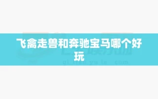 飞禽走兽和奔驰宝马哪个好玩
