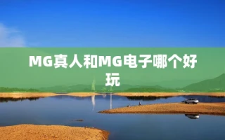MG真人和MG电子哪个好玩