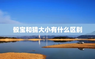 骰宝和猜大小有什么区别