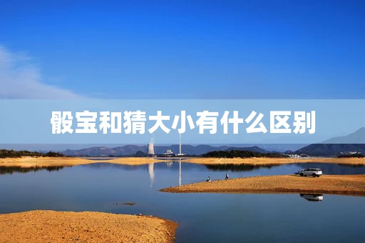 骰宝和猜大小有什么区别-第1张图片-心潮起伏 骰宝和猜大小有什么区别-第1张图片-心潮起伏